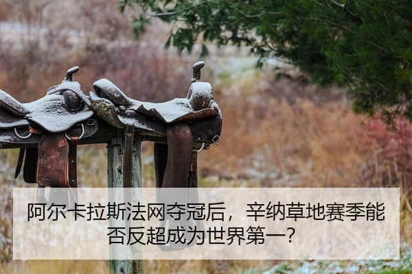 a-er-ka-la-si-fa-wang-duo-guan-hou-xin-na-cao-di-sai-ji-neng-fou-fan-chao-cheng-wei-shi-jie-di-yi-2-666.jpg